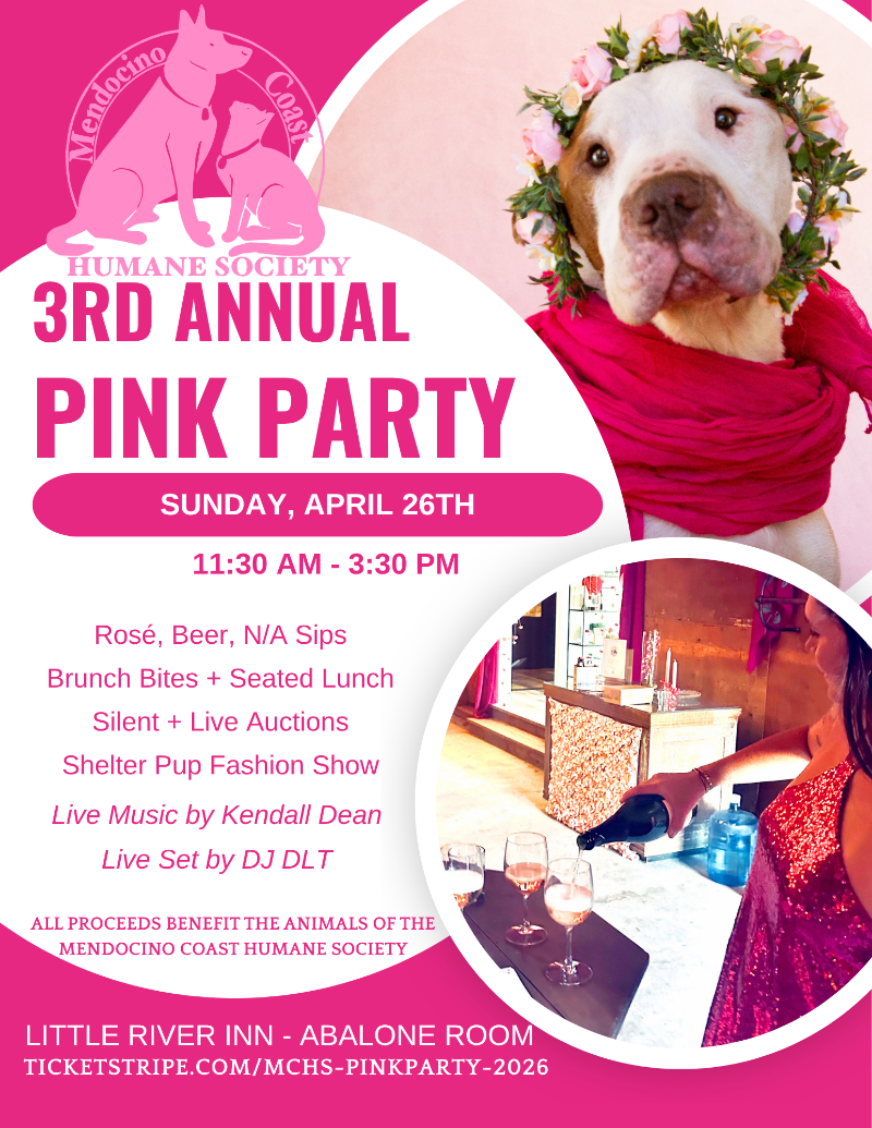 Pink_Party_2026.png